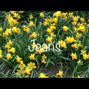 Jeans!
